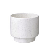 Monstera Deliciosa Indoor Plant - Image 2