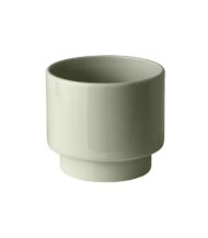 Monstera Deliciosa Indoor Plant - Image 3